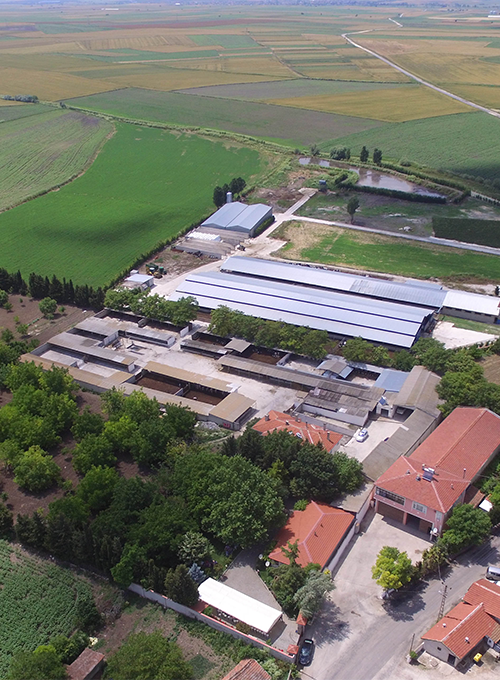 Ece Tarım Hayvancılık İşletmeleri